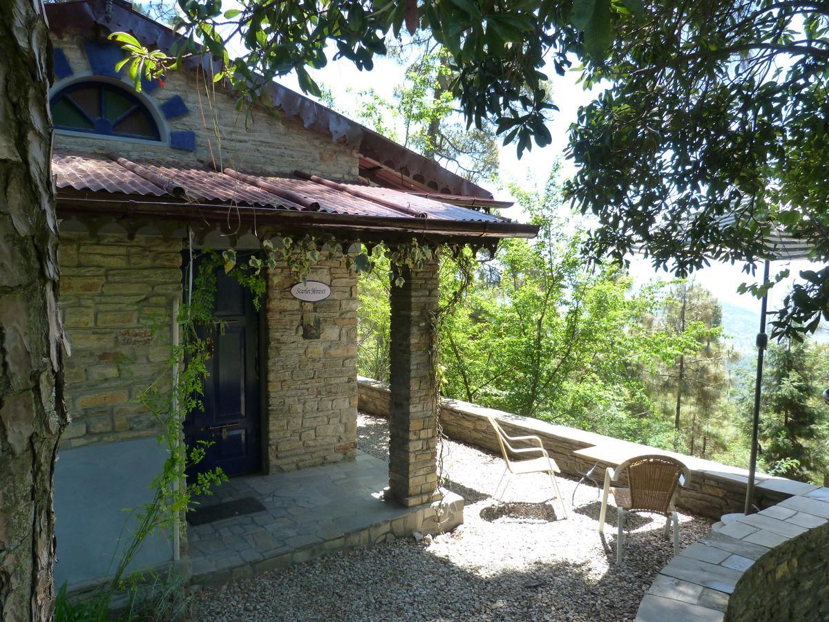 Hôtel Ayurvaid Kalmatia à Almora Extérieur photo