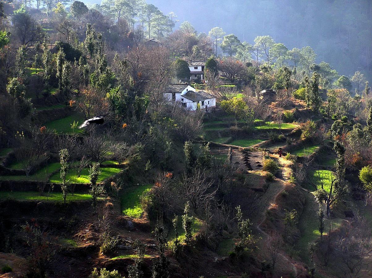 Hôtel Ayurvaid Kalmatia à Almora Extérieur photo